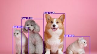 物体検出2023】YOLOv6(v3.0)まとめ② 推論の引数と座標とスコア